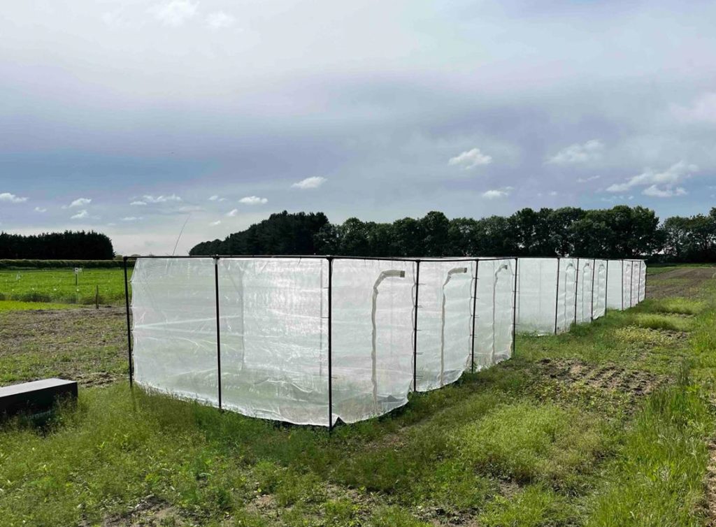 Bee nests with netting