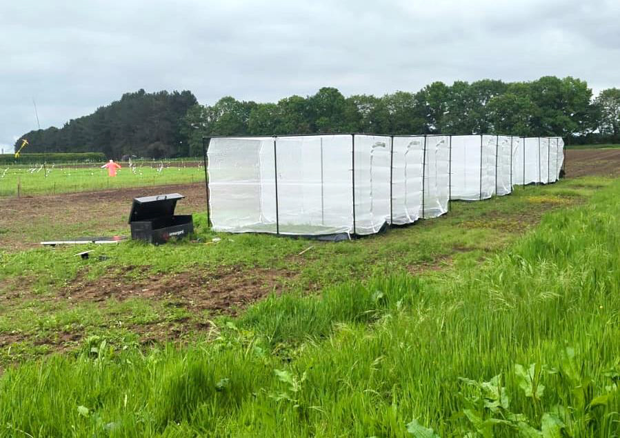 Bee nests with netting around in the field.