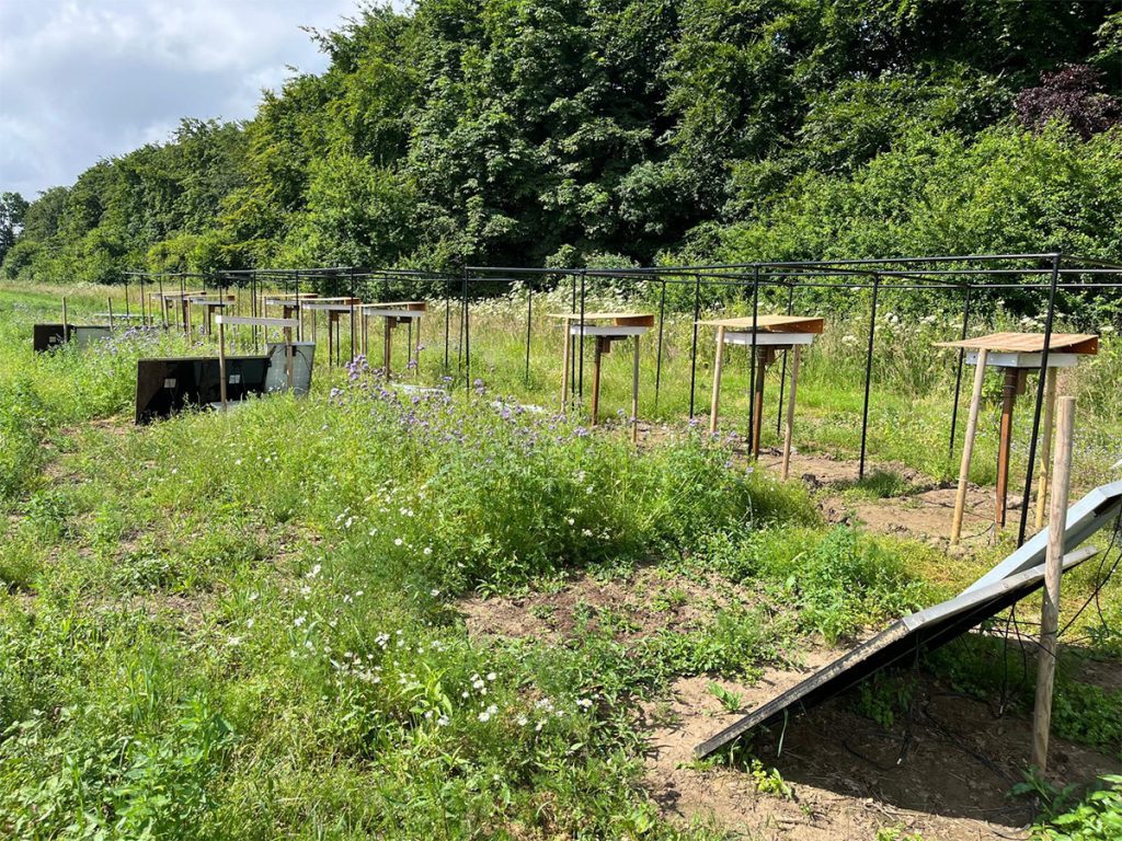 Bee nests in the cages with solar panels.